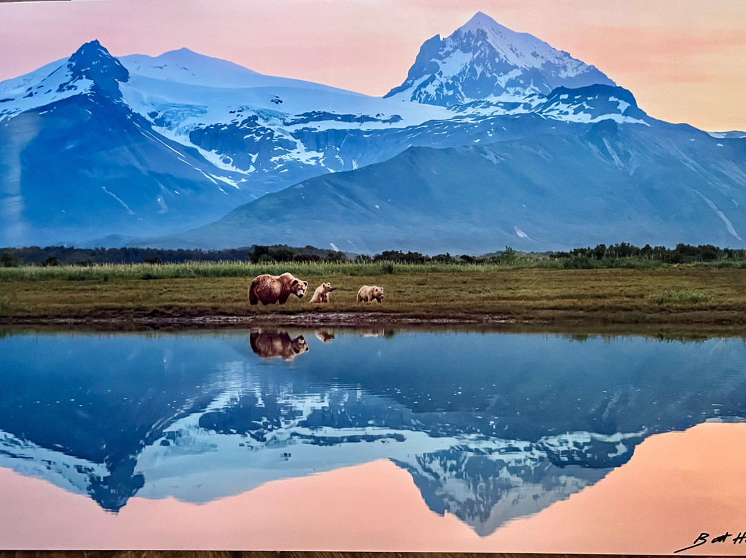 BearHead Photography Gallery-史凯威必去景点