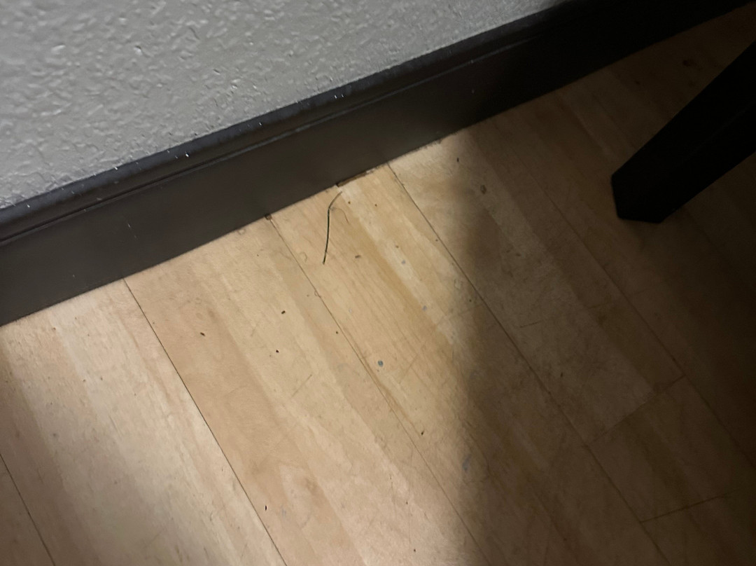 格林斯伯勒机场红屋顶酒店主图