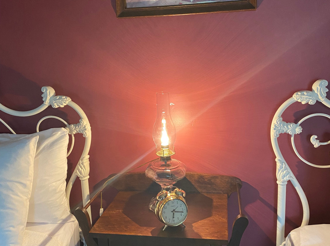 Hotel Chateau Albert主图