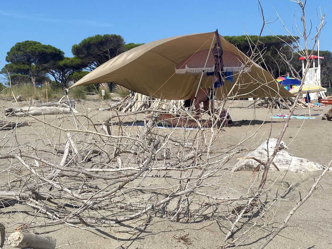 Marina di Alberese景点图片