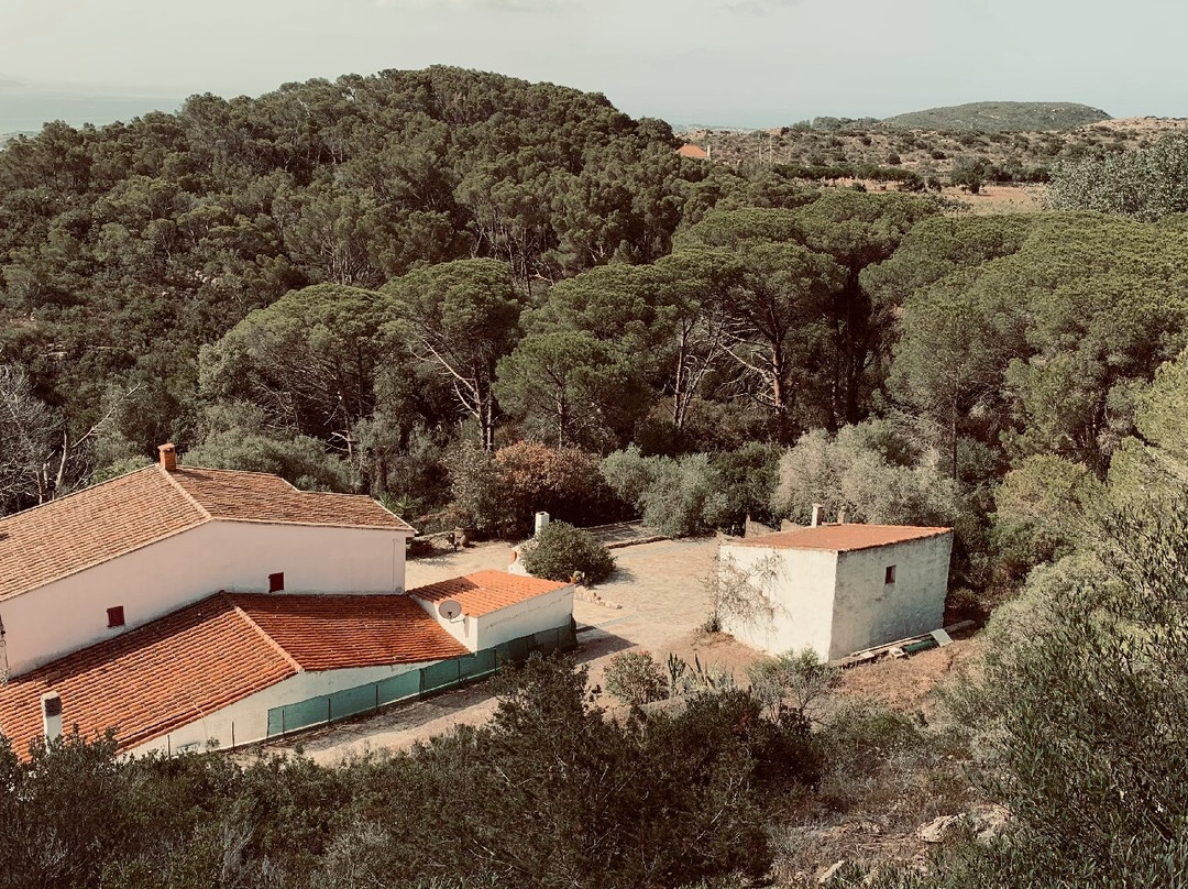 Hotel Guardia dei Mori主图