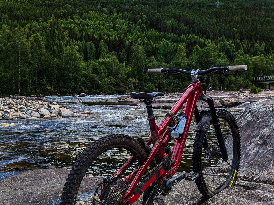 Any Excuse To Ride景点图片