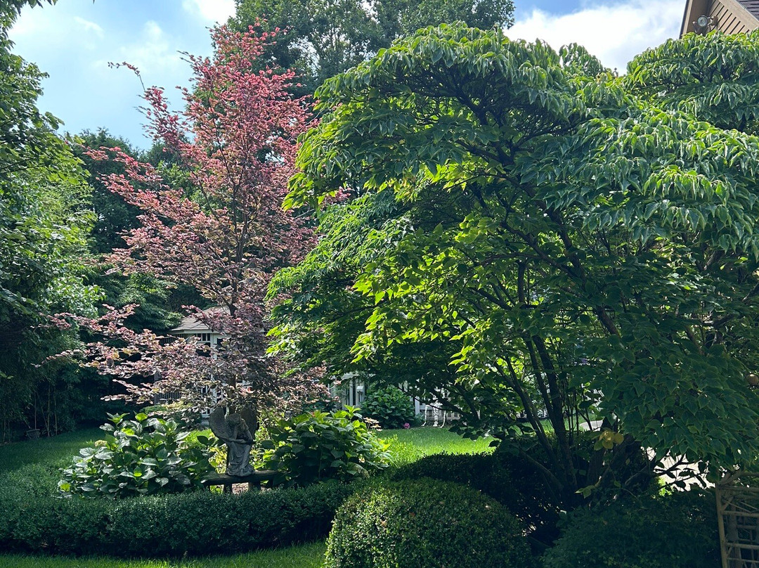 Angel Welcome Bed and Breakfast主图