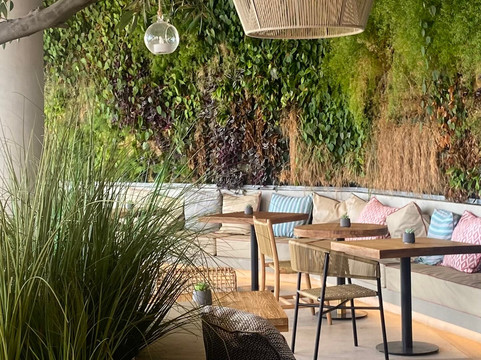 Solymar Gran Hotel主图