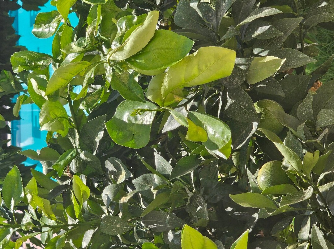 Santa Helena Hotel主图