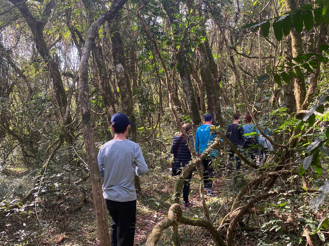 Fazenda Tropeiro Camponez主图