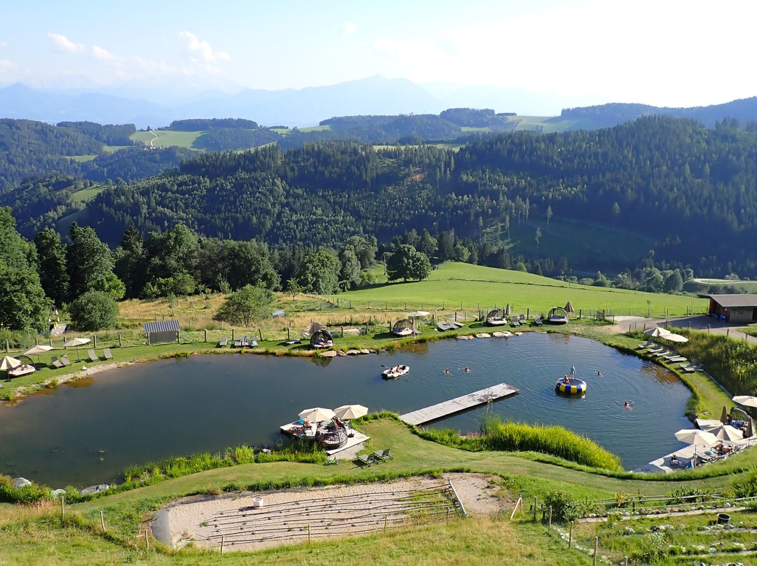 Gasthof Hotel Petschnighof主图