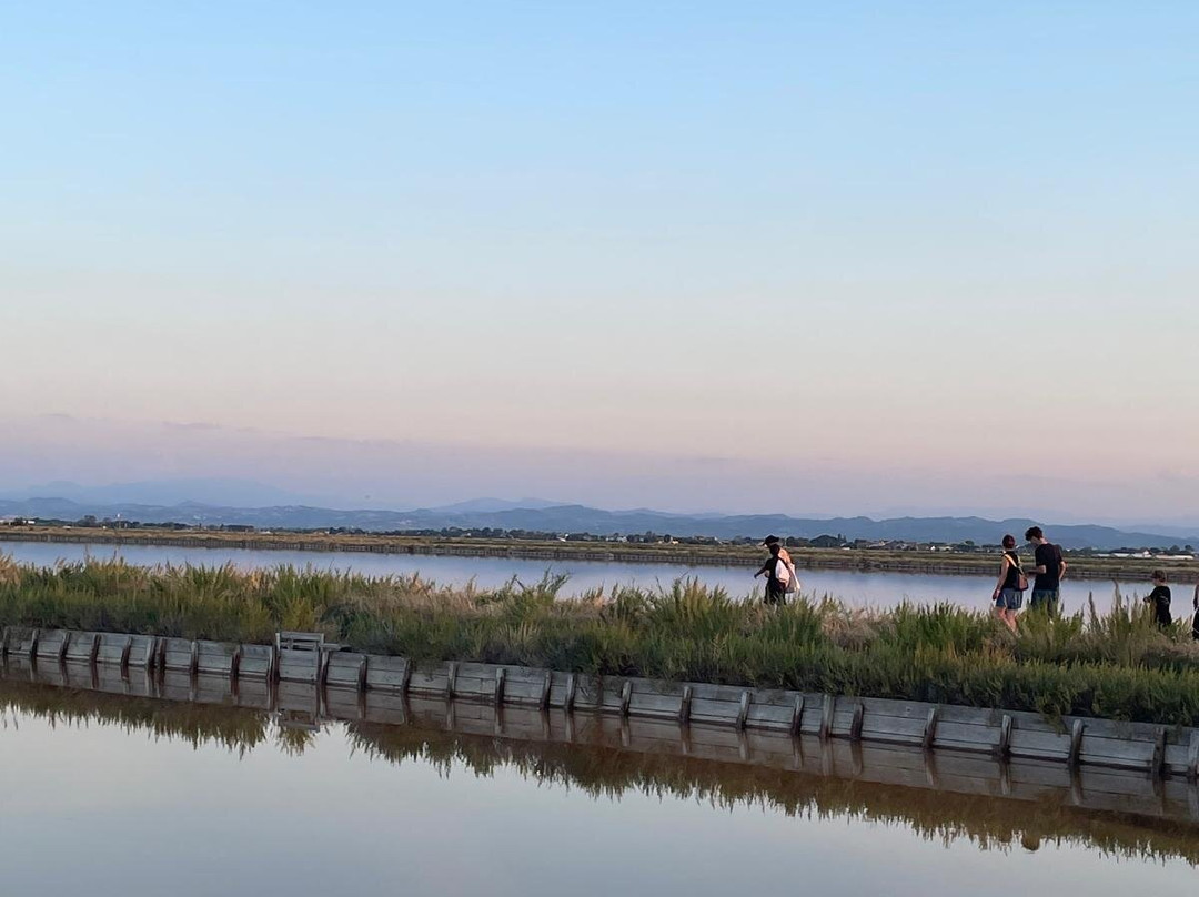 Parco della Salina di Cervia景点图片