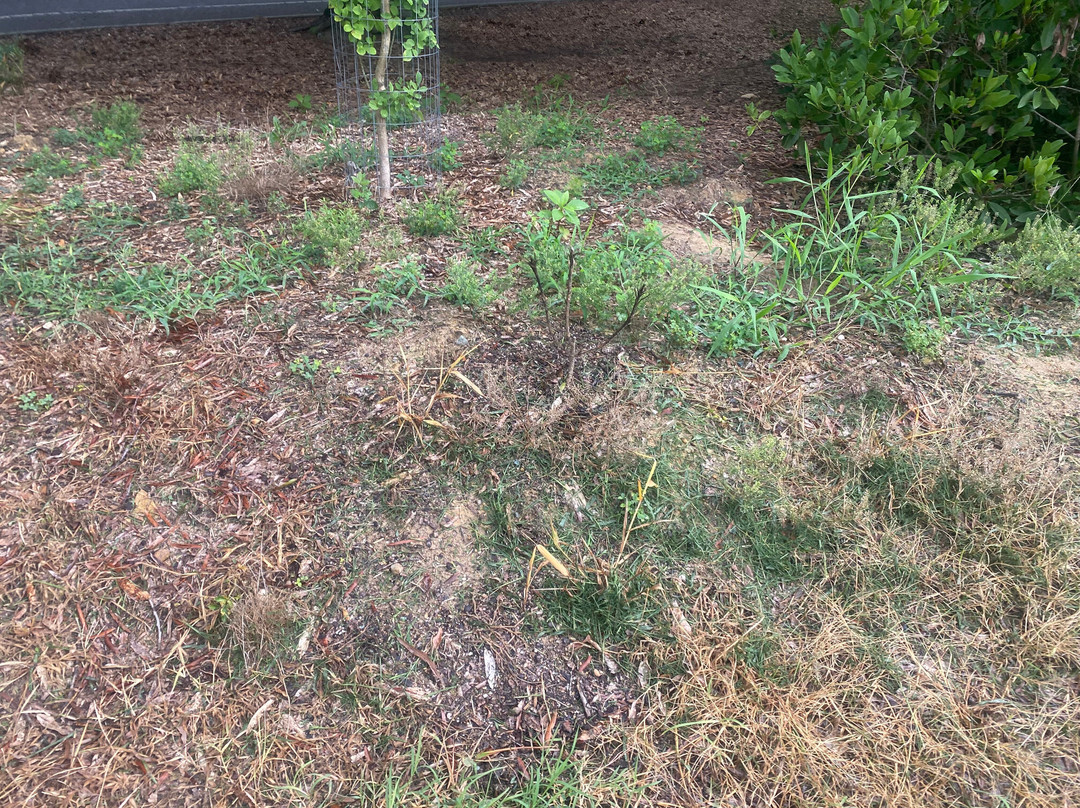 Fearrington Village-Pittsboro必去景点