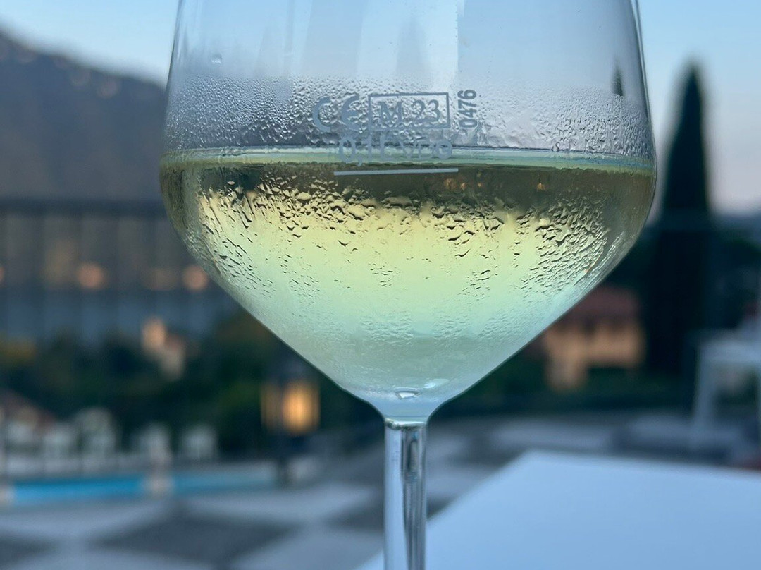 阿斯尼歌酒店主图