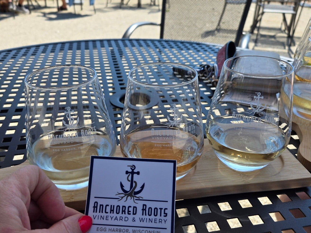 Anchored Roots Vineyard & Winery-Egg Harbor必去景点