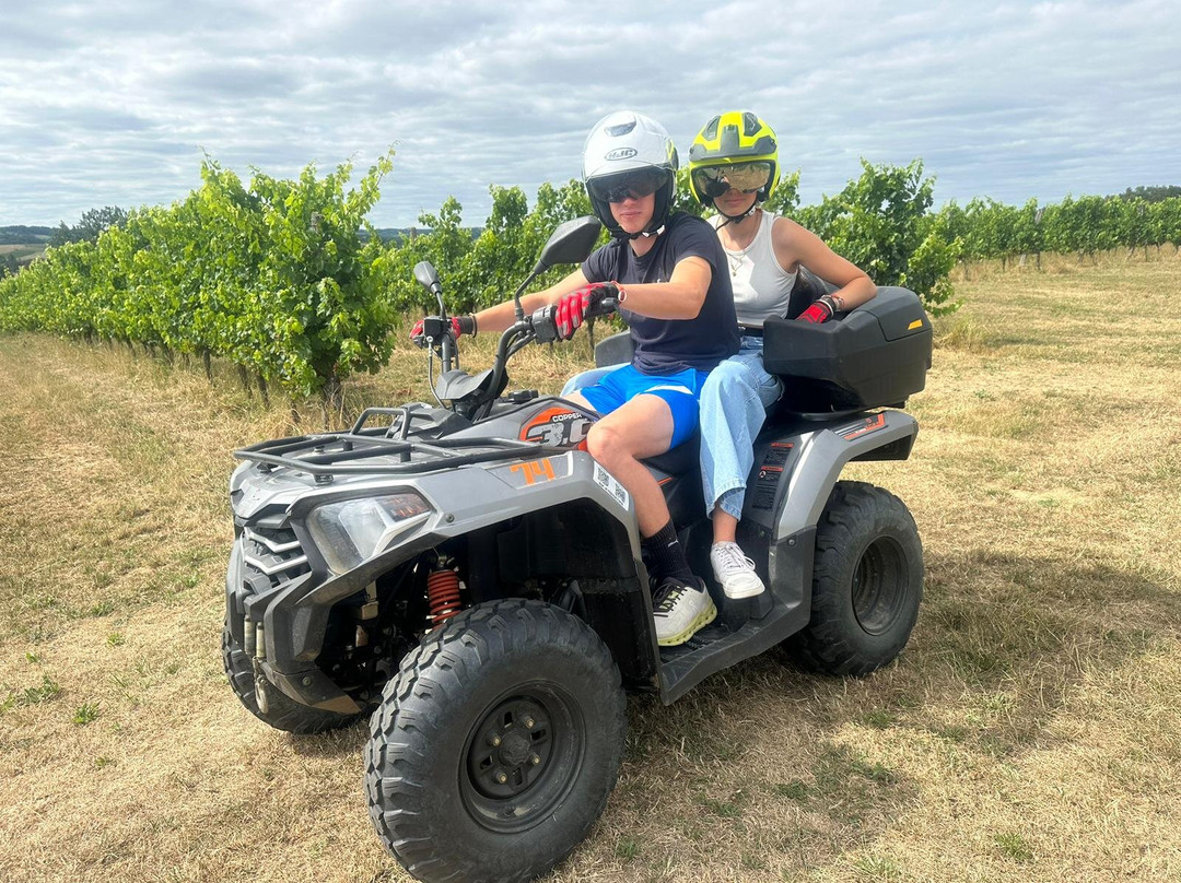 Randos en quad Off-Road Wine Tours景点图片