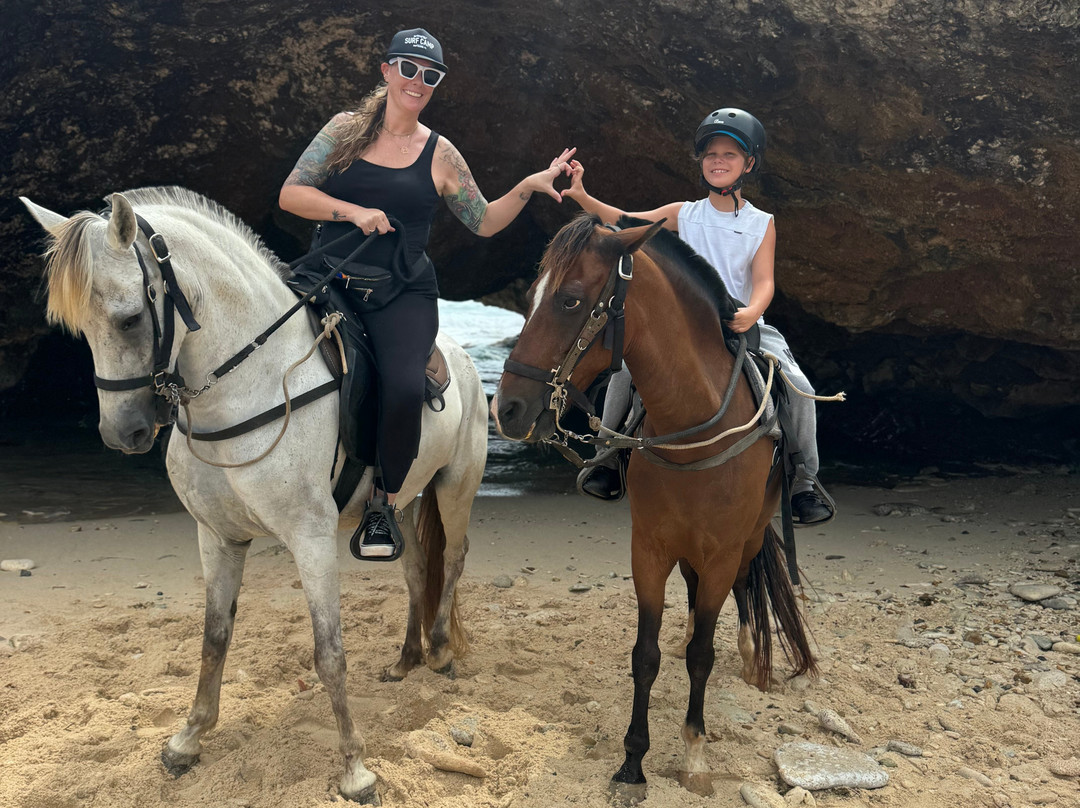 ArubaHorseTour-Paradera必去景点