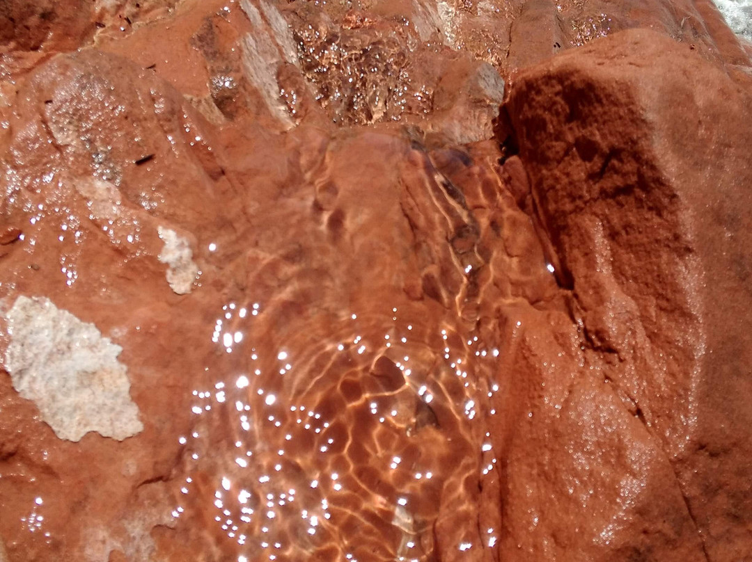 DANTE-斯普林代尔必去景点