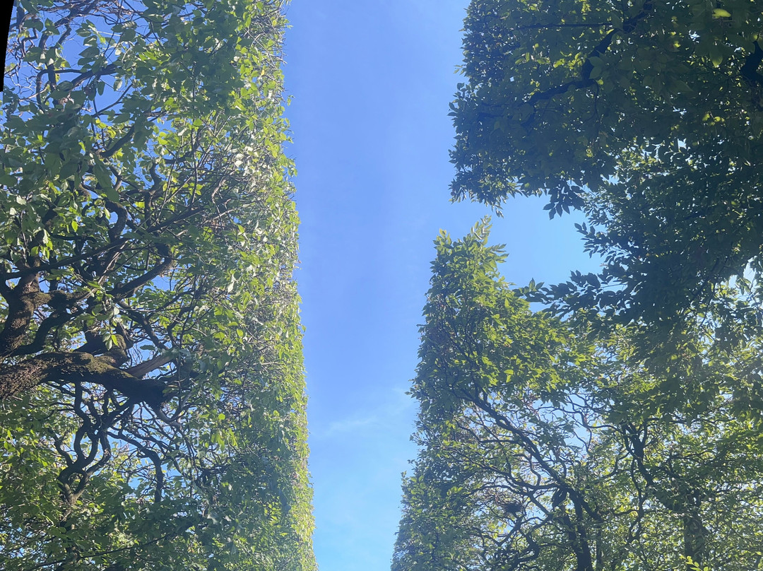 Villa Rovereti - Rizzardi景点图片