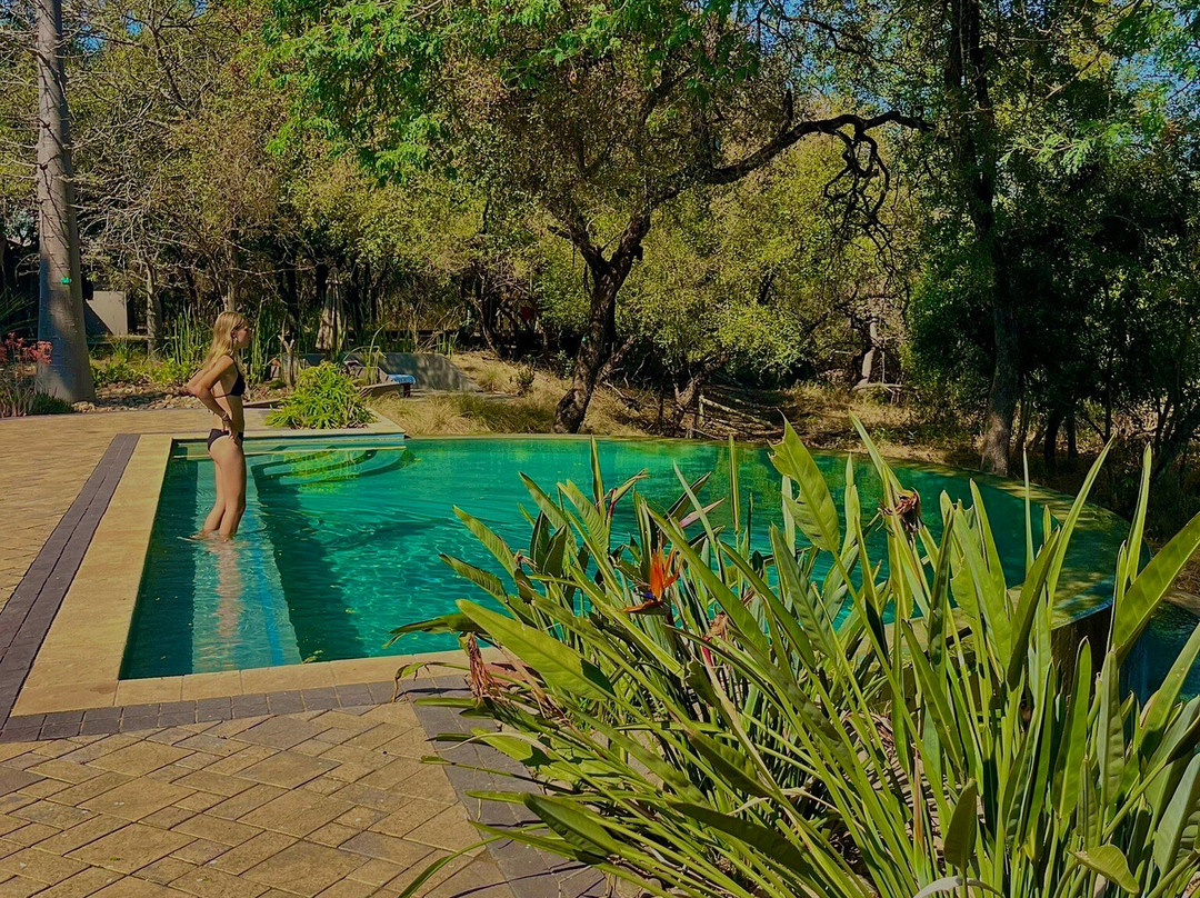 Little Africa Safari Lodge主图