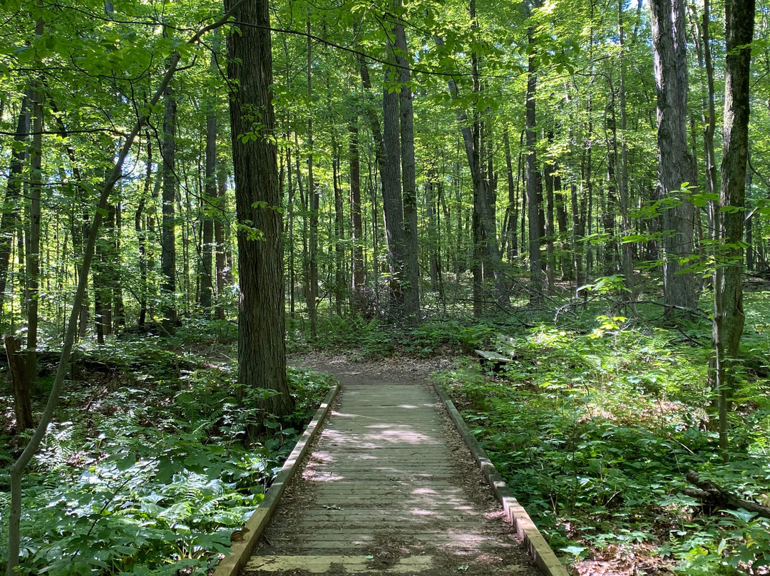 Wildwood Preserve Metropark景点图片