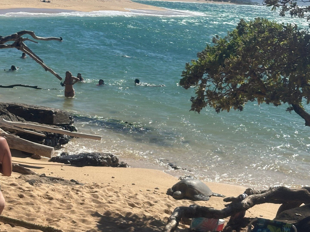 HA Baldwin Beach Park-芭雅必去景点