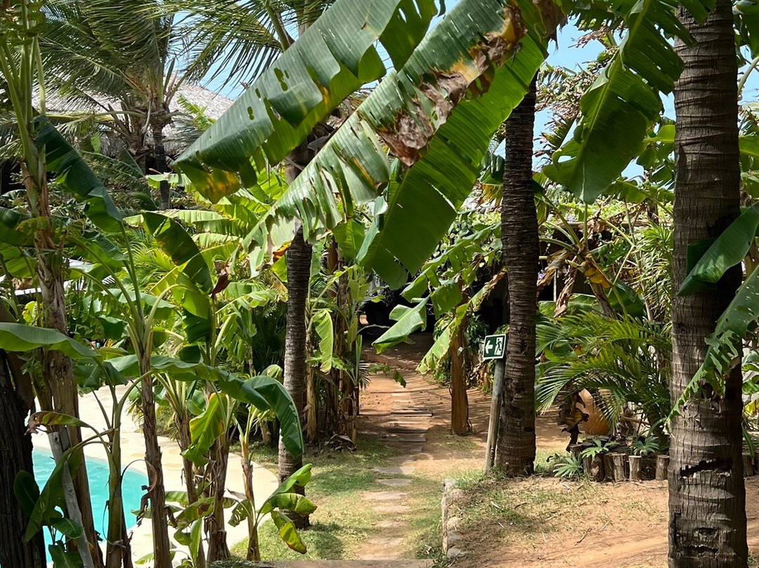 Pousada Jardim do vento