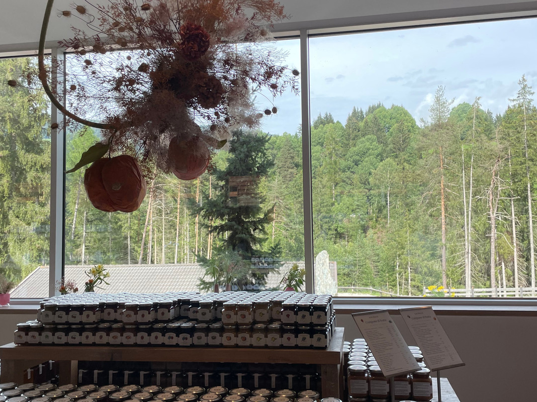 Alpe Pragas Srl-Braies必去景点