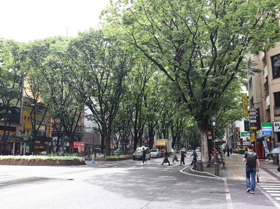 定禅寺大道•榉树林-仙台市必去景点