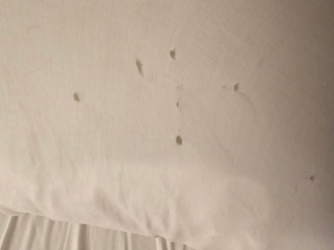 Hotel Valencia Riverwalk主图