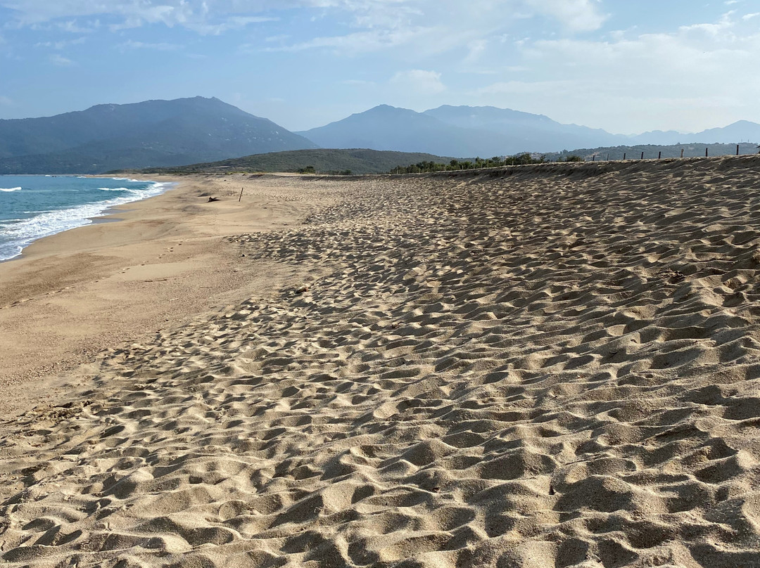 Plage de Portigliolo景点图片