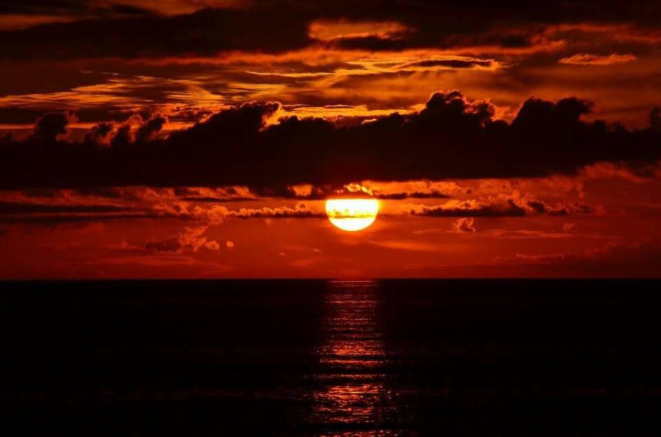 Bungalow Beach Resort-泳池