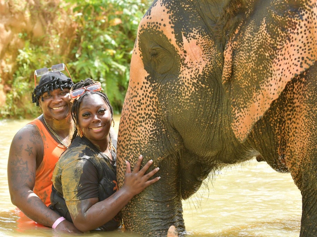 The Bridge Travel Phuket-普吉镇必去景点