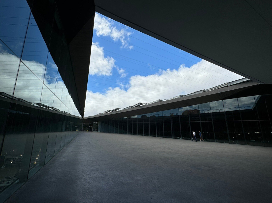 TEA Tenerife Espacio De Las Artes景点图片