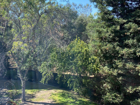 纳托马旅店主图