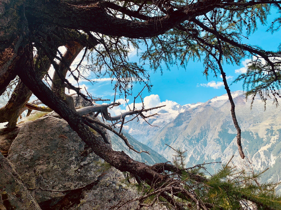 Montseuc Belvedere Sentiero natura-科涅必去景点