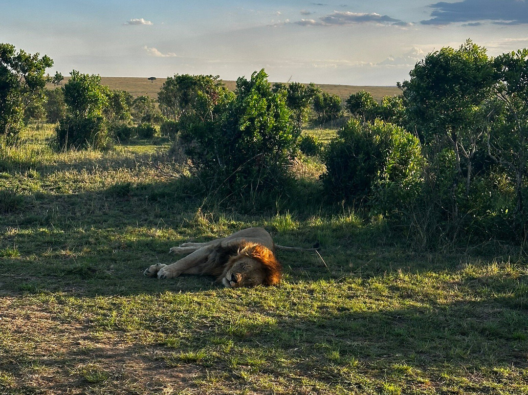 Sense of Africa, Namibia-温德和克必去景点