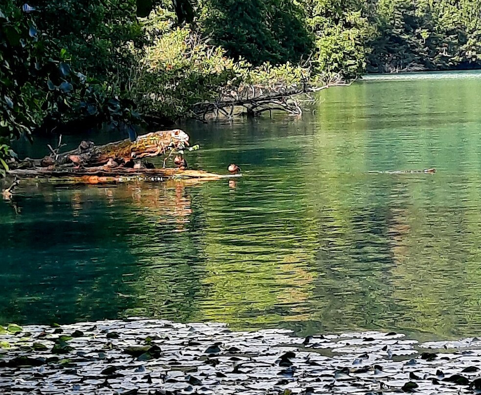 Lake Bled, Slovenia-布莱德必去景点