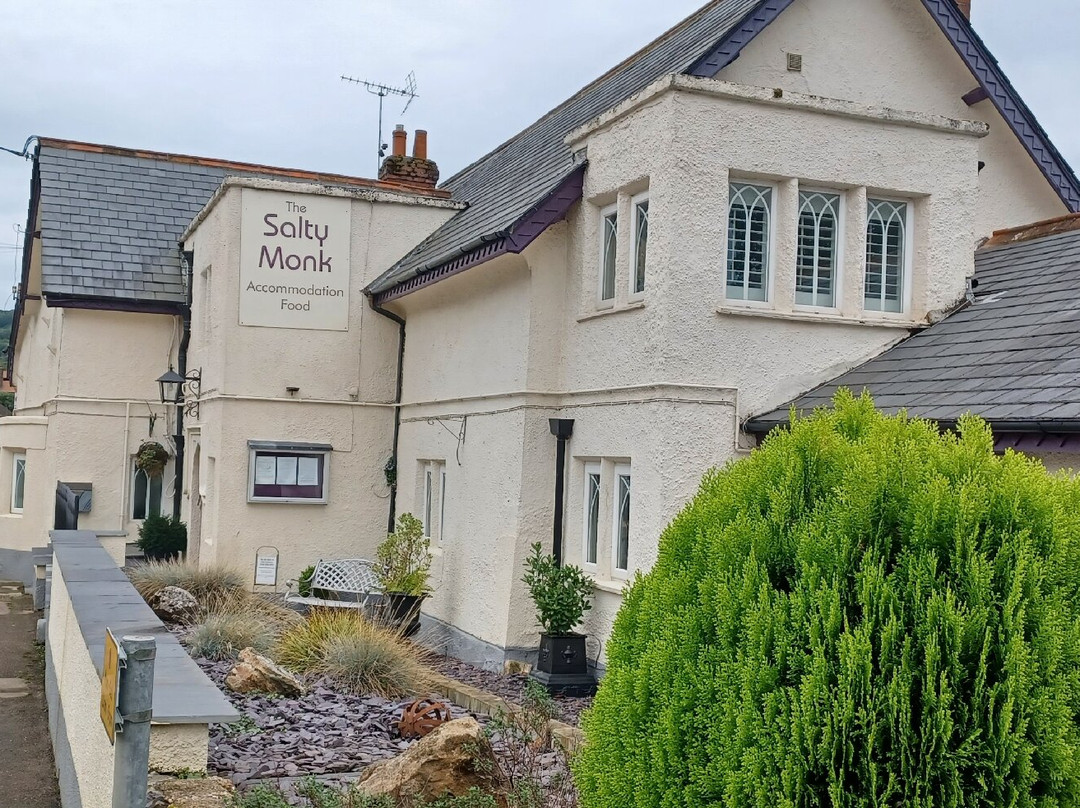 The Salty Monk主图