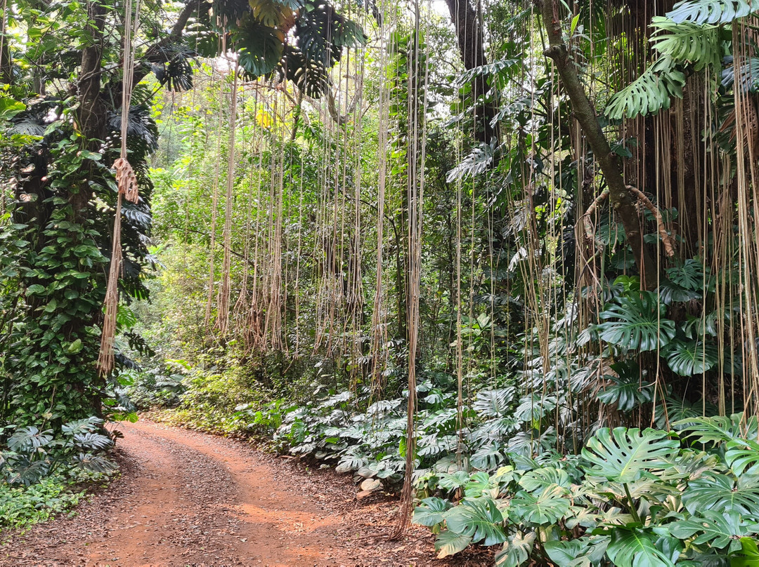 Estancia Santa Ines主图