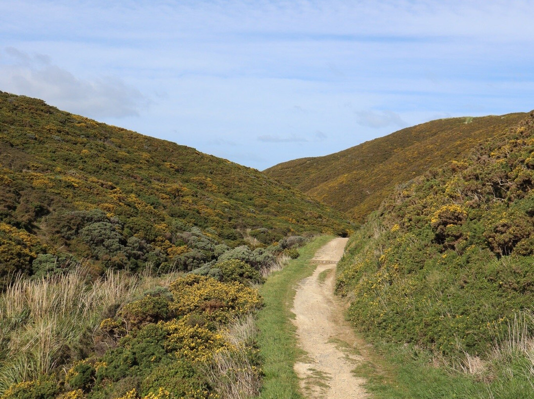 East Harbour Regional Park景点图片