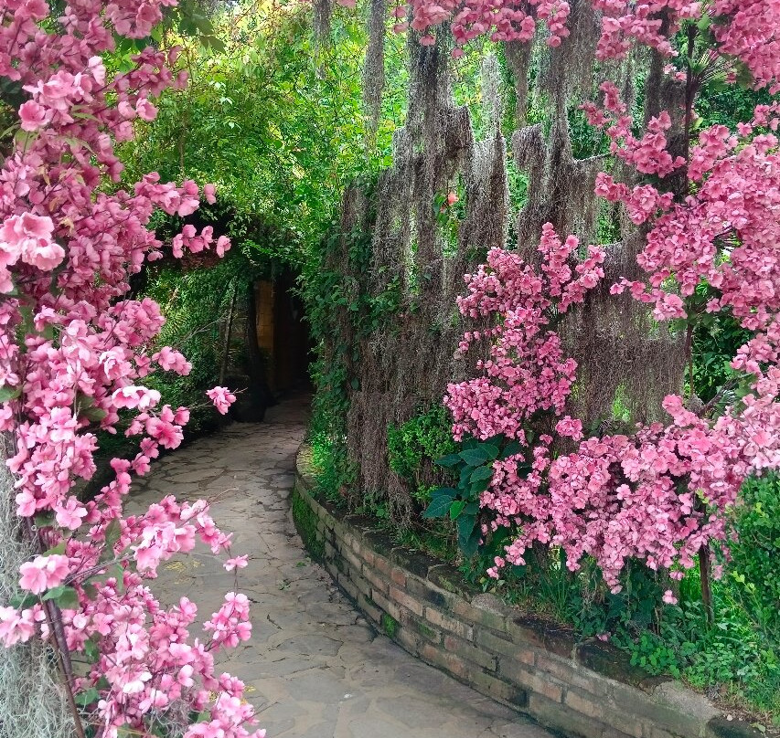 Mundo Aventura Parque Ecologico de Mazamitla-Mazamitla必去景点