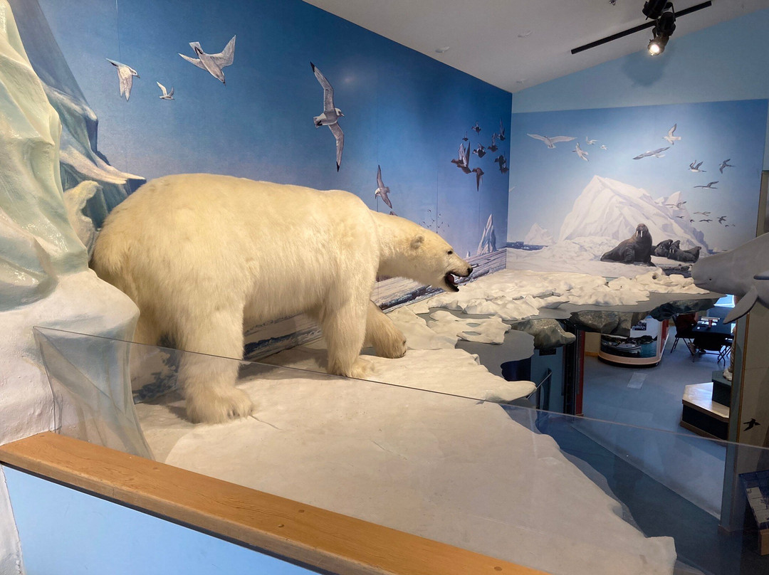 Unikkaarvik Visitor Centre-Iqaluit必去景点