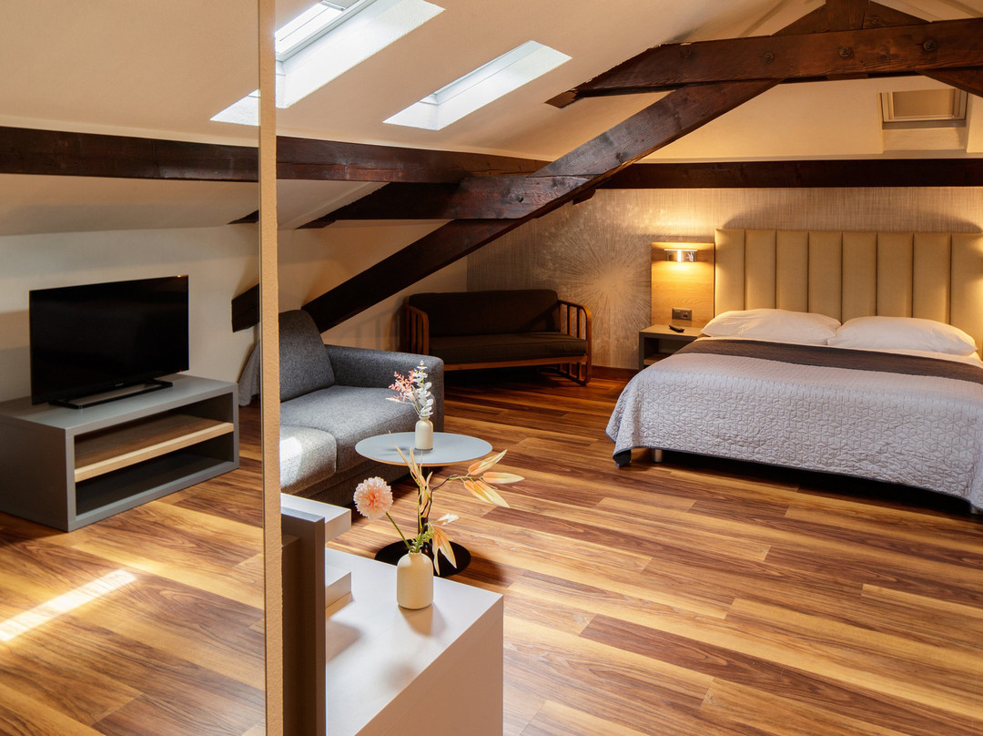 Albergo Mirador Ascona主图
