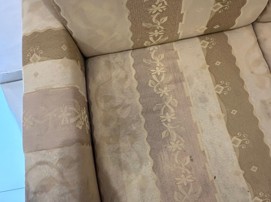 Gulmohar Sariska Resort主图