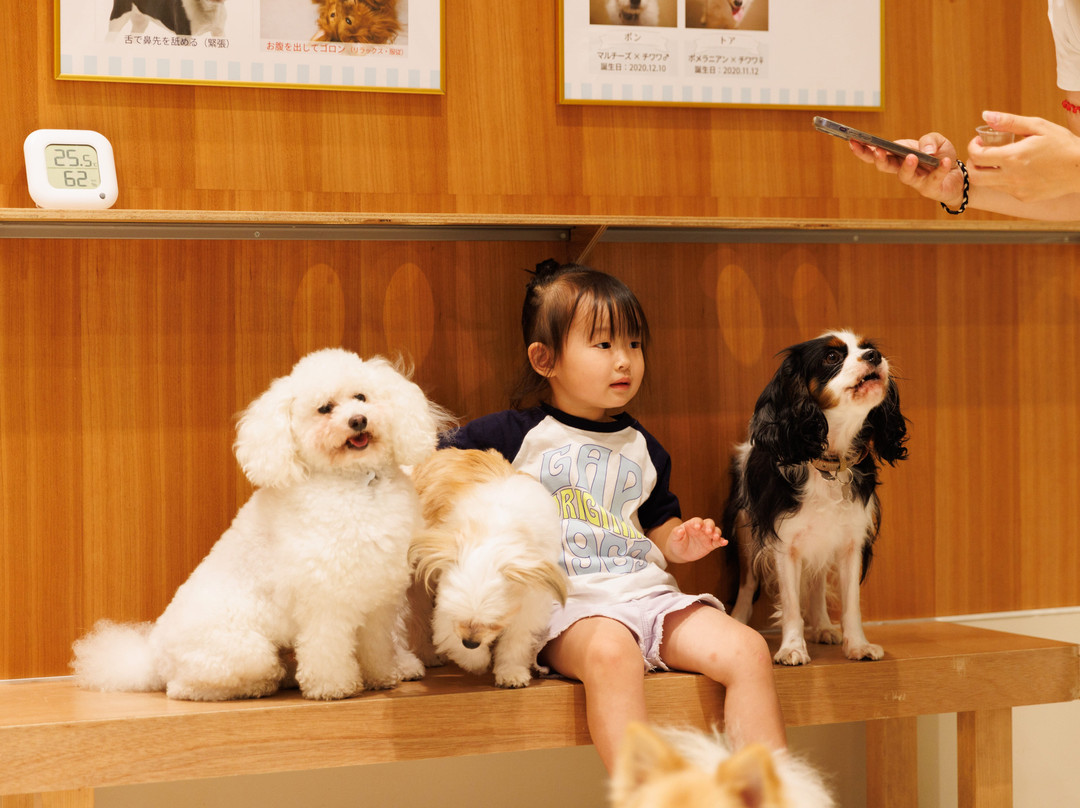 Moff animal cafe ららぽーと立川立飛店主图