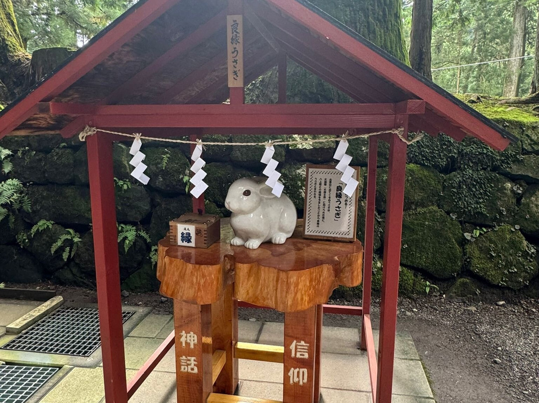 Nikko Futarasan Jinja Chugushi Shrine-日光市必去景点