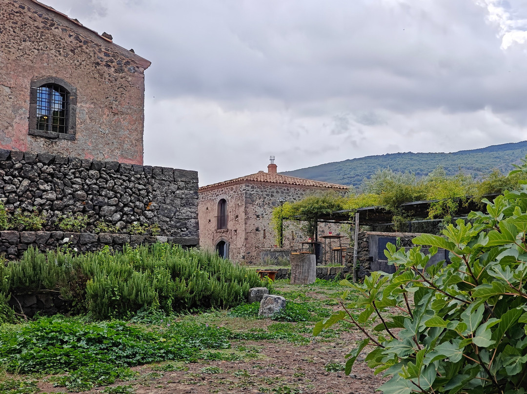 Planeta Winery景点图片