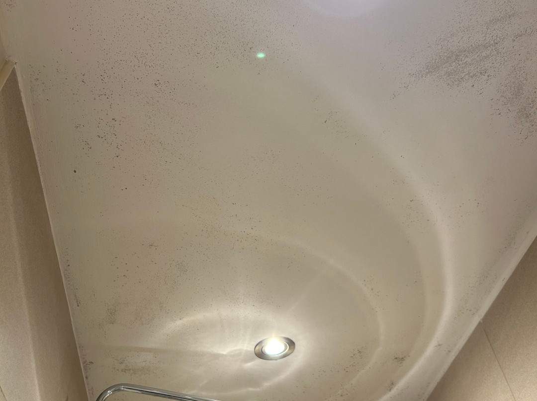 Victoria House主图