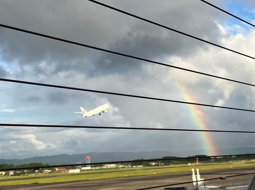 Kagoshima Airport Observation Deck景点图片