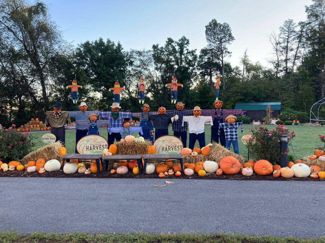 Resort at Governor's Crossing主图