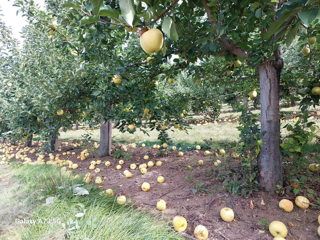 La Ferme Genest-Saint-Nicolas必去景点