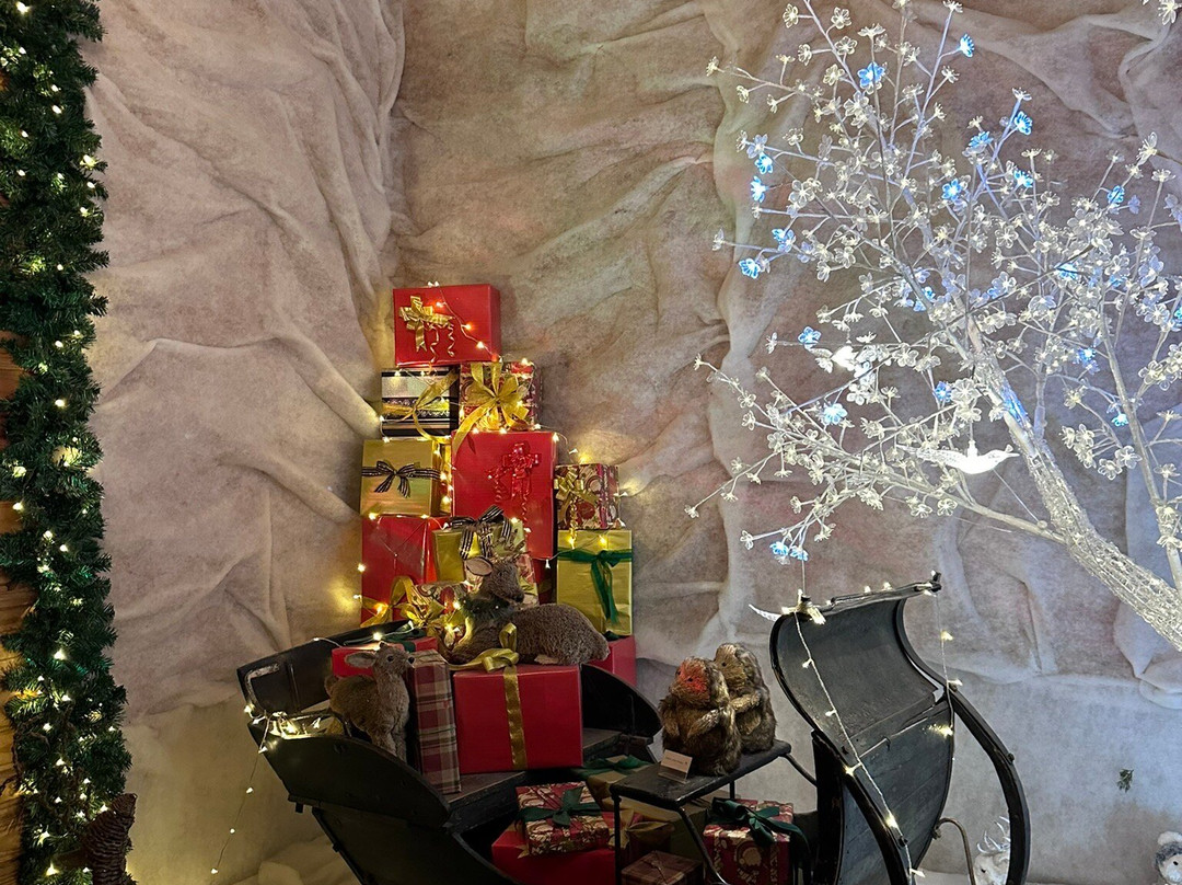 Casa do Papai Noel景点图片