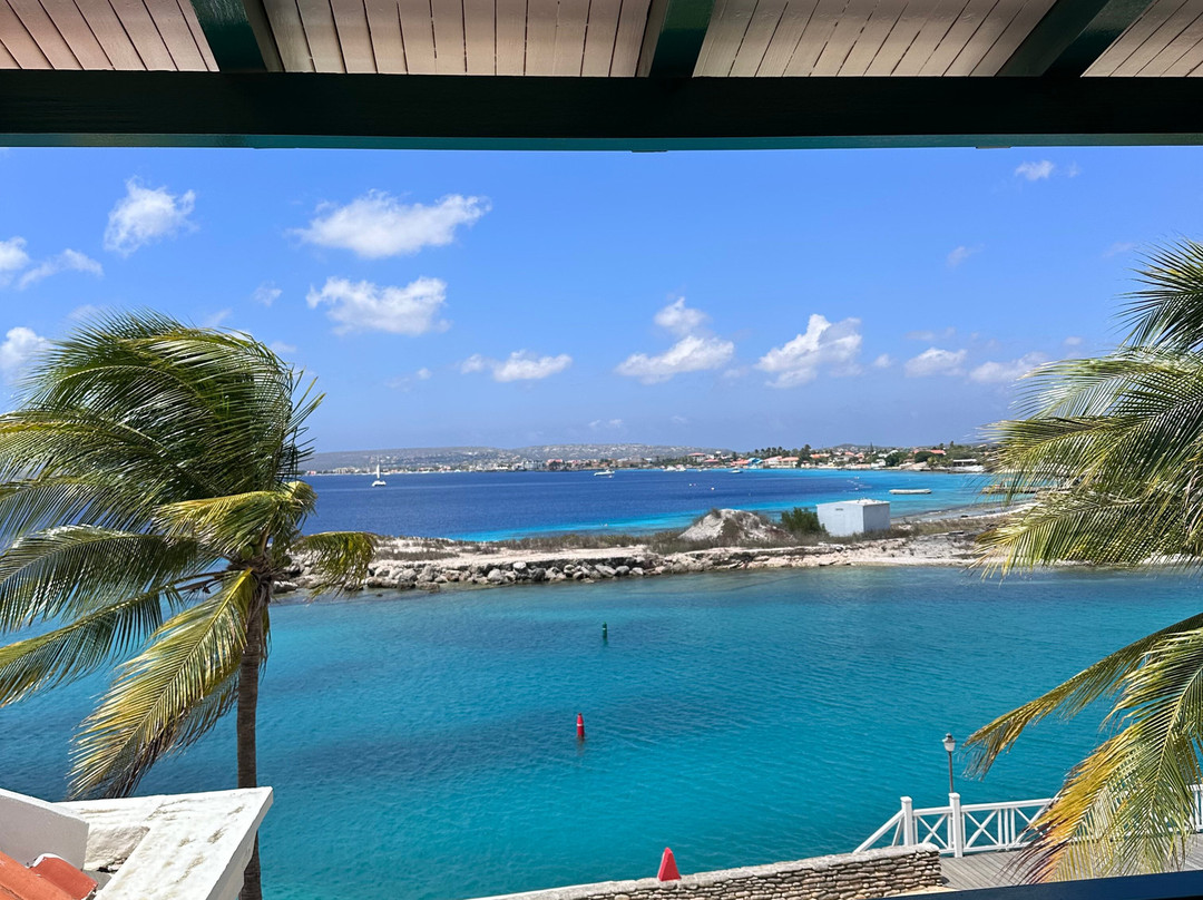 Port Bonaire Residencia主图